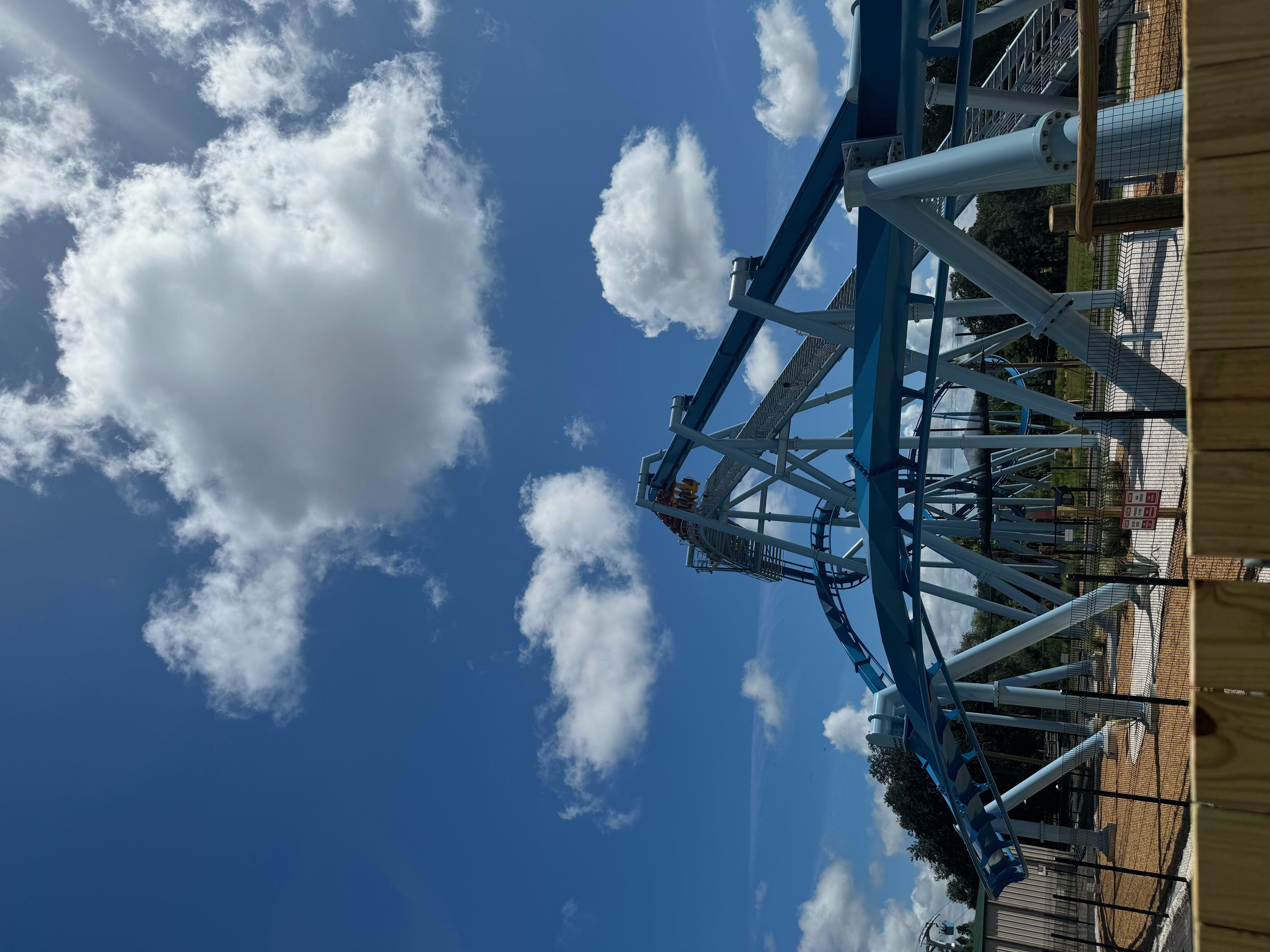 Picture of Phoenix Rising